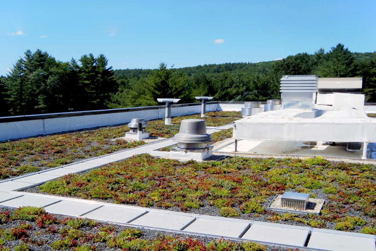 The 30-plus year old roof was completely replaced with a vegetated covering for added energy conservation